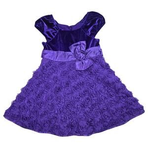 Jona Michelle Girls 4T Purple Roses Velvet Formal Party Dress Holiday Christmas